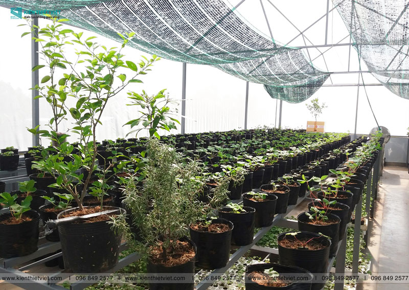 Phối cảnh 3D – Ngôi nhà cấp 4 sở hữu vườn dâu xanh mướt tại Long An (9)