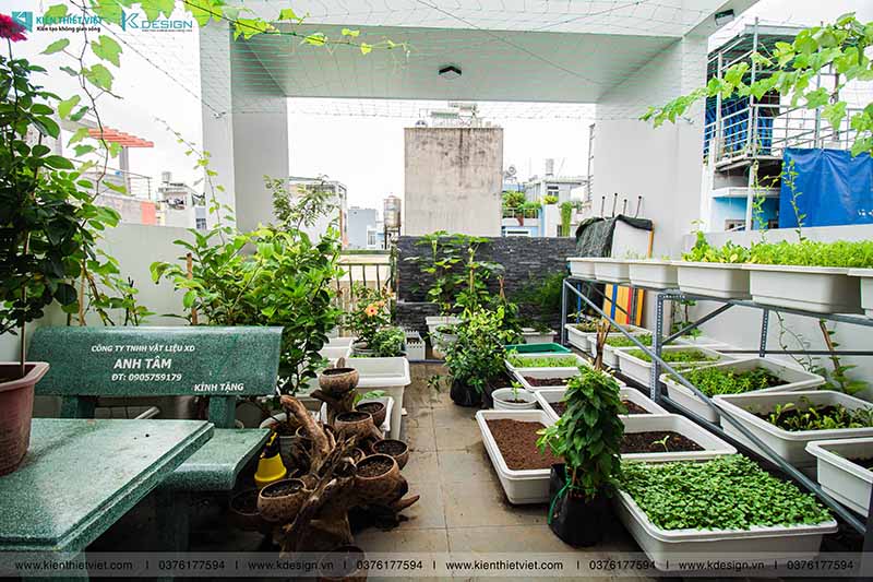 Thiết kế sân thượng (12)