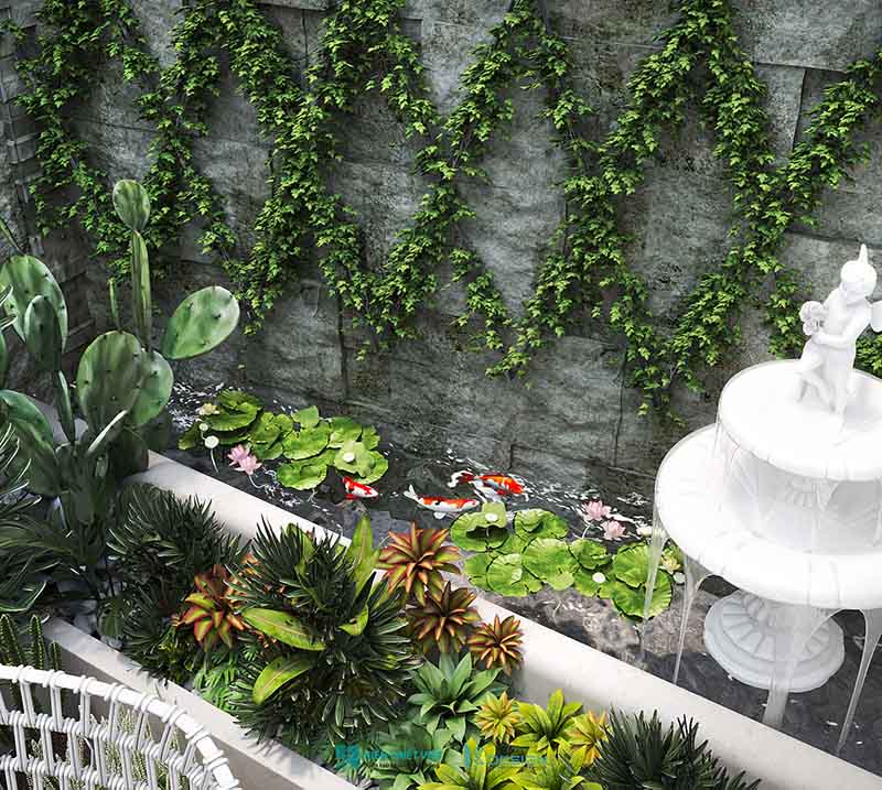 Thiết kế sân sau (30)