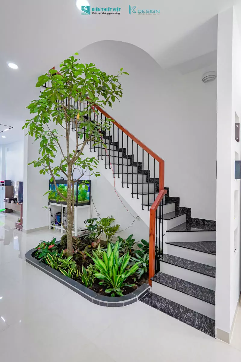 Hình ảnh tiểu cảnh (16)